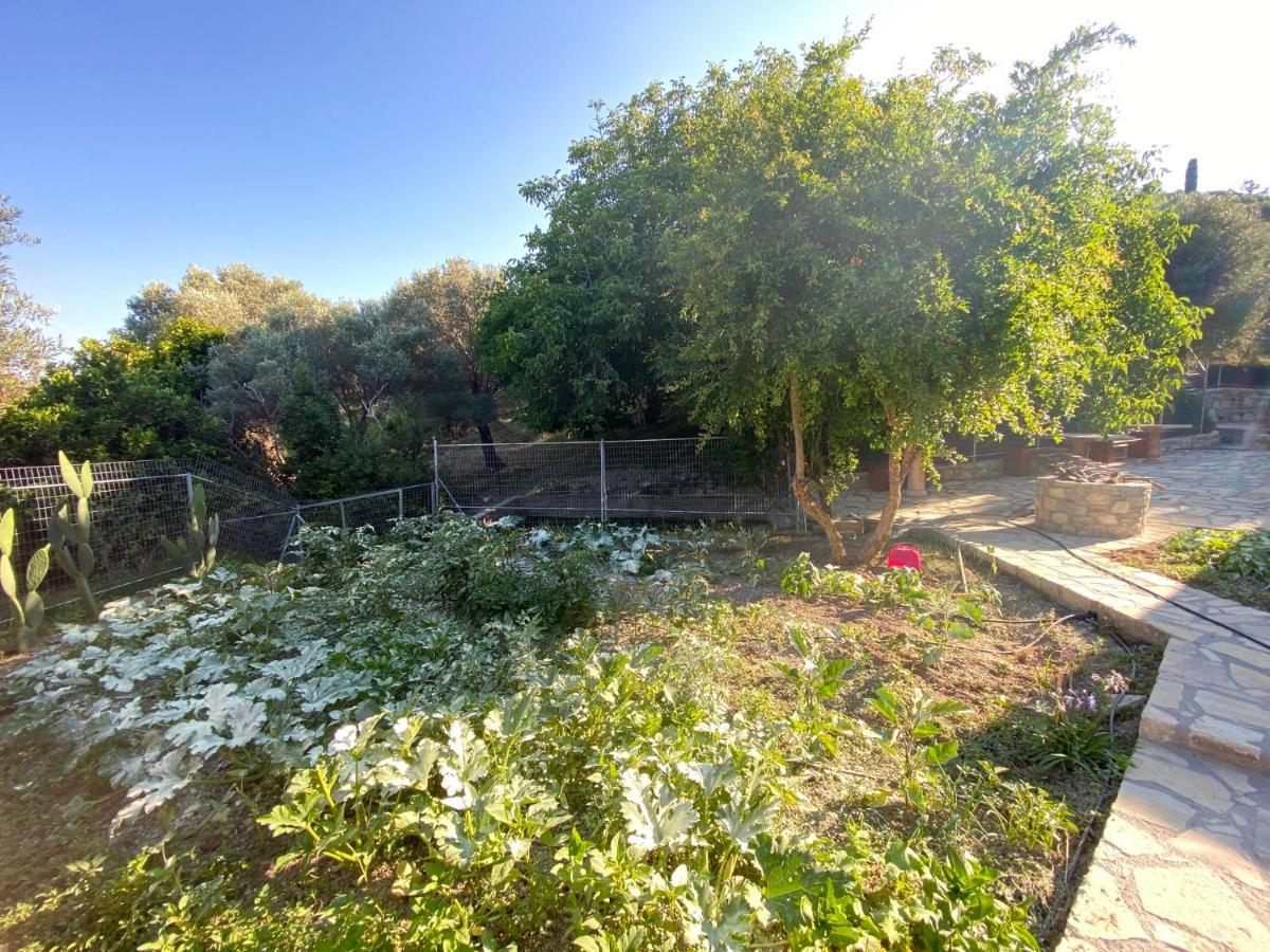 Villa Daskalogianni Βλαχιανά Εξωτερικό φωτογραφία