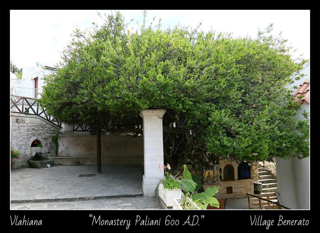Villa Daskalogianni Βλαχιανά Εξωτερικό φωτογραφία