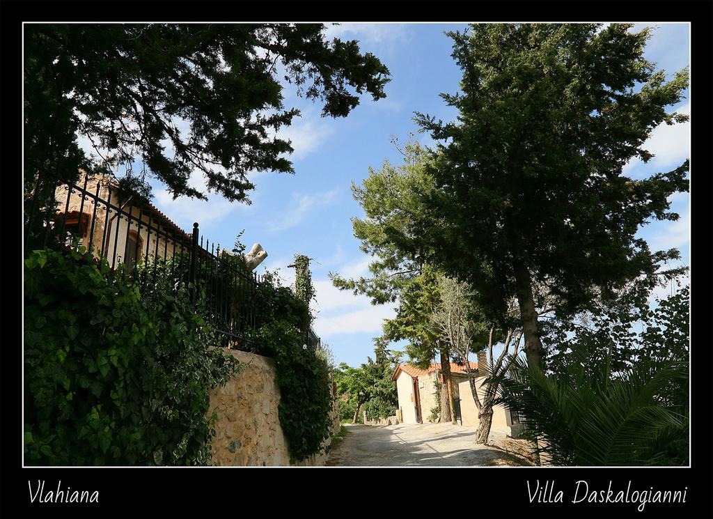 Villa Daskalogianni Βλαχιανά Εξωτερικό φωτογραφία