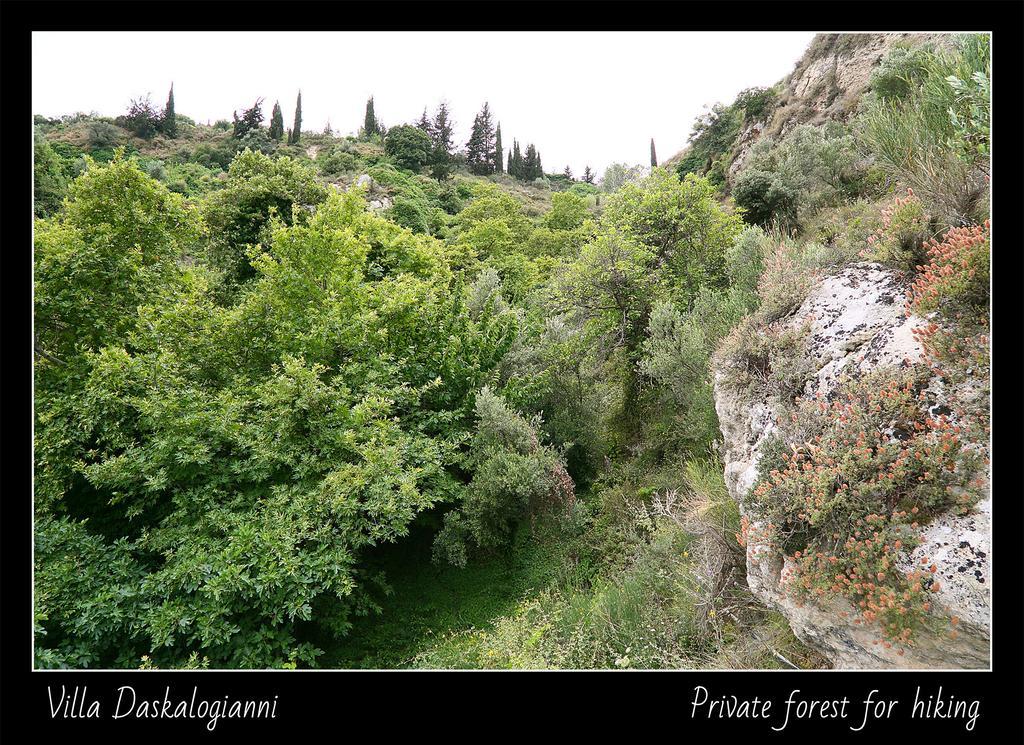Villa Daskalogianni Βλαχιανά Εξωτερικό φωτογραφία