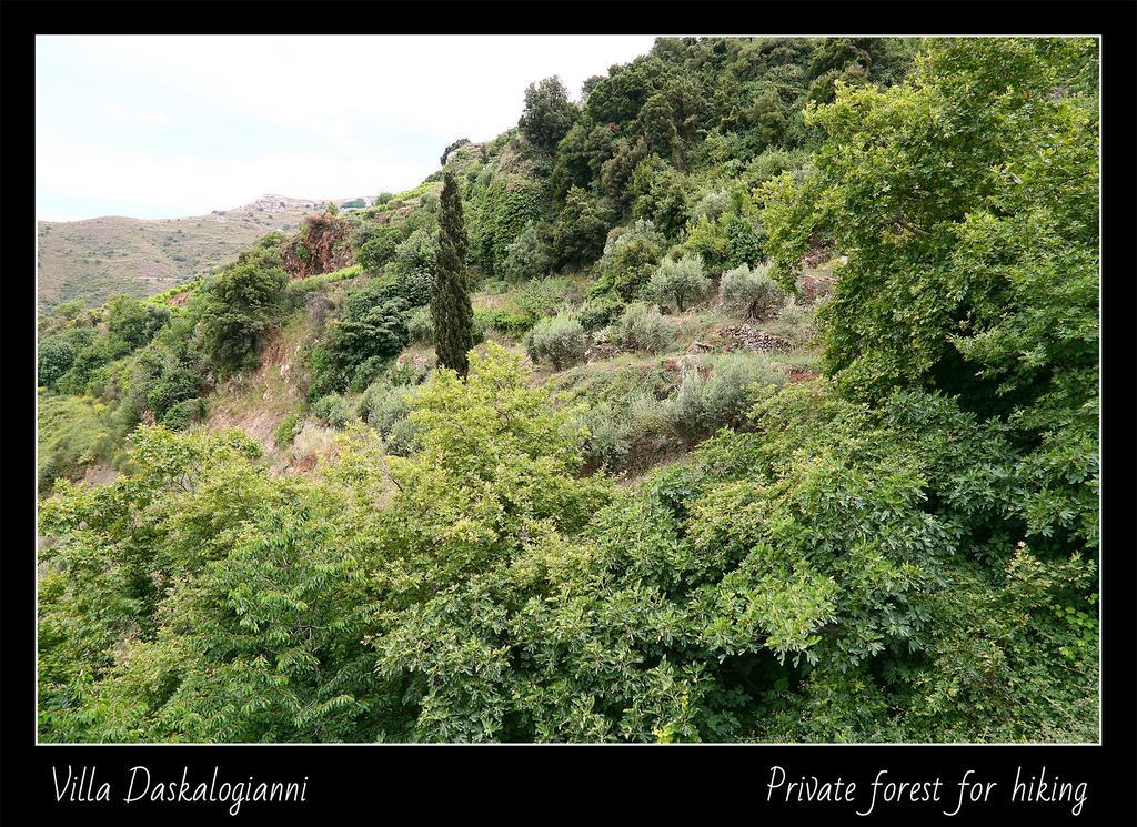 Villa Daskalogianni Βλαχιανά Εξωτερικό φωτογραφία